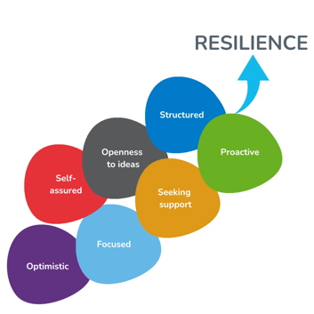 Resilience diagram